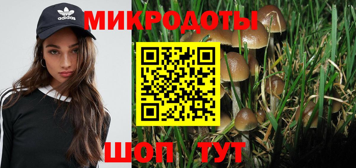 Псилоцибиновые грибы Psilocybe Самара